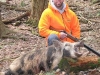 Boar