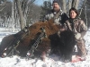 Buffalo