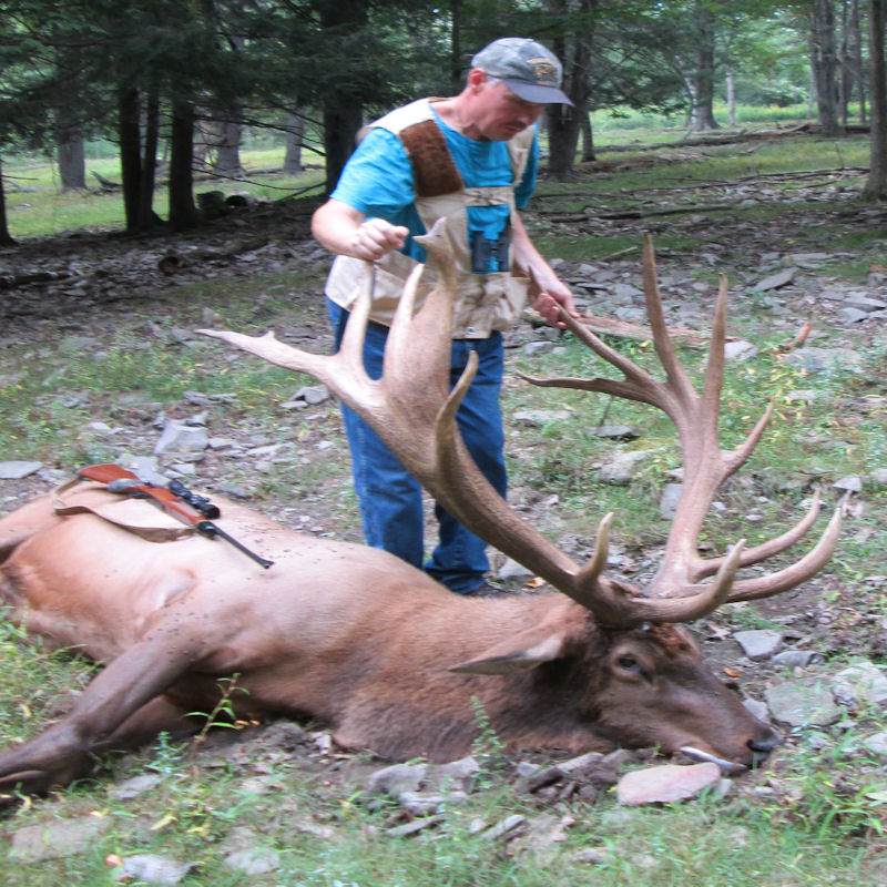 Guided Elk Hunts Big Game Trophy Elk Hunting in Pennsylvania Tioga