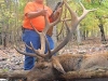 elk0116