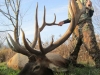 elk0112