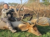 elk0114