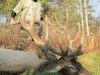elk0108