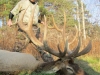 elk0107