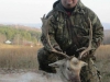 fallow0101