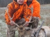 fallow0102