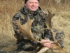 Fallow Deer