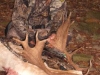 fallow10013