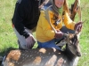 fallow10017