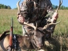 fallow10018