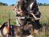 fallow10019
