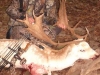 fallow1002