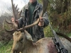 fallow1115