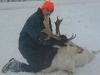 fallow1204