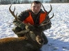 stag2