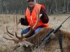 stag2227