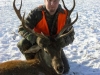 stag2bb
