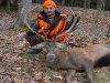 stag3