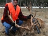 stag3227