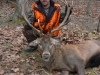 stag3bb