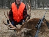 stag4227