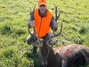 stag6