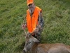stag7
