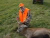 stag7bb