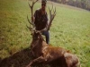 stag8