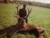 stag8bb