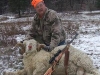 Rocky Mtn Rams
