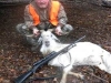 317goat1