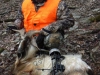 403goat1bb