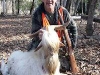 403goat2