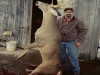 whitetail11