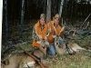 whitetail12