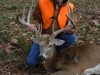 whitetail1bb
