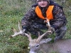 whitetail7