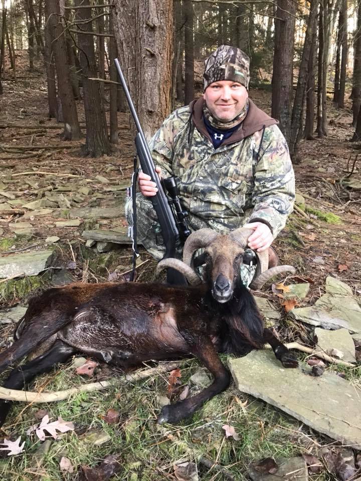 Sheep Hunts in Pennsylvania
