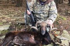 Sheep Hunts in Pennsylvania