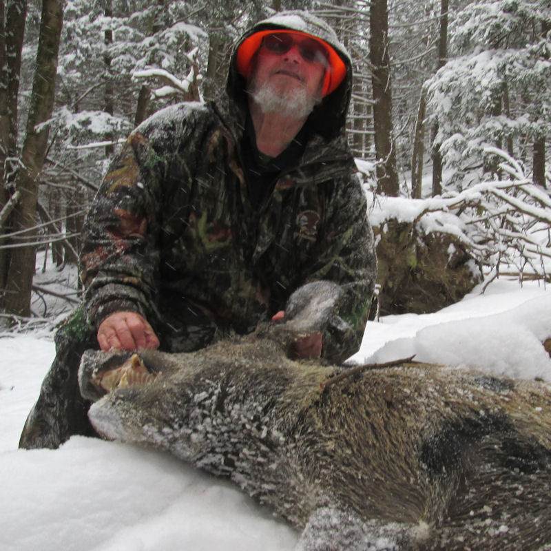 Wild Boar Hunts and Hog Hunting Trips in Pennsylvania Tioga Boar Hunting