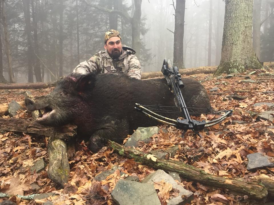 Hunter posing with crossbow and boar kill