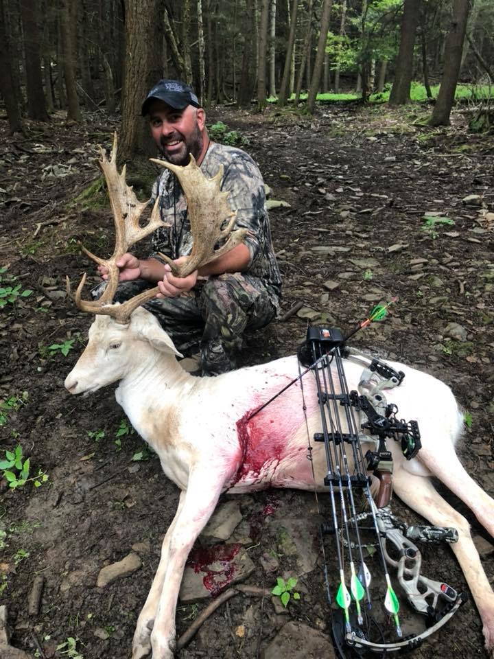 Guided Fallow Deer Hunts - Affordable Hunting Packages in PA | Tioga