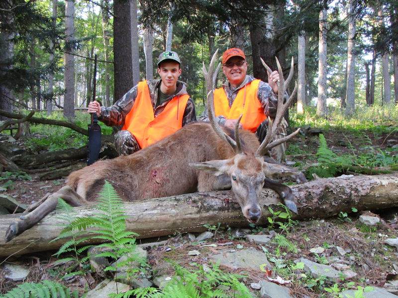 deer drive hunting games