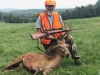 Gray bearded hunter posing with red stag kill