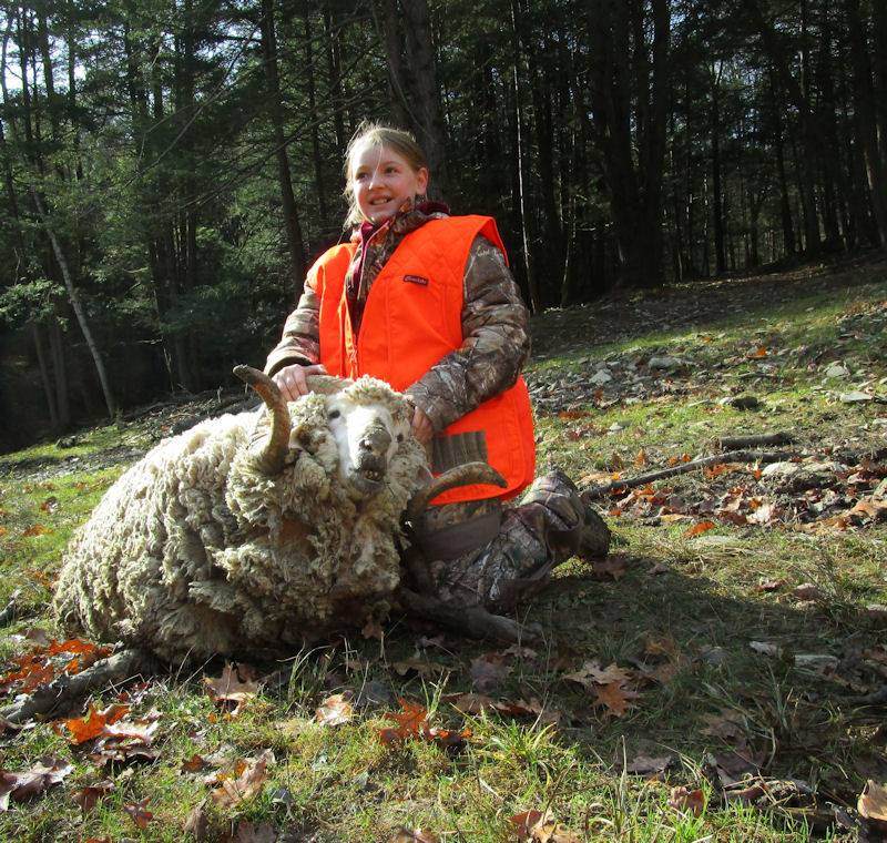 Rocky Mountain Ram Hunting in PA