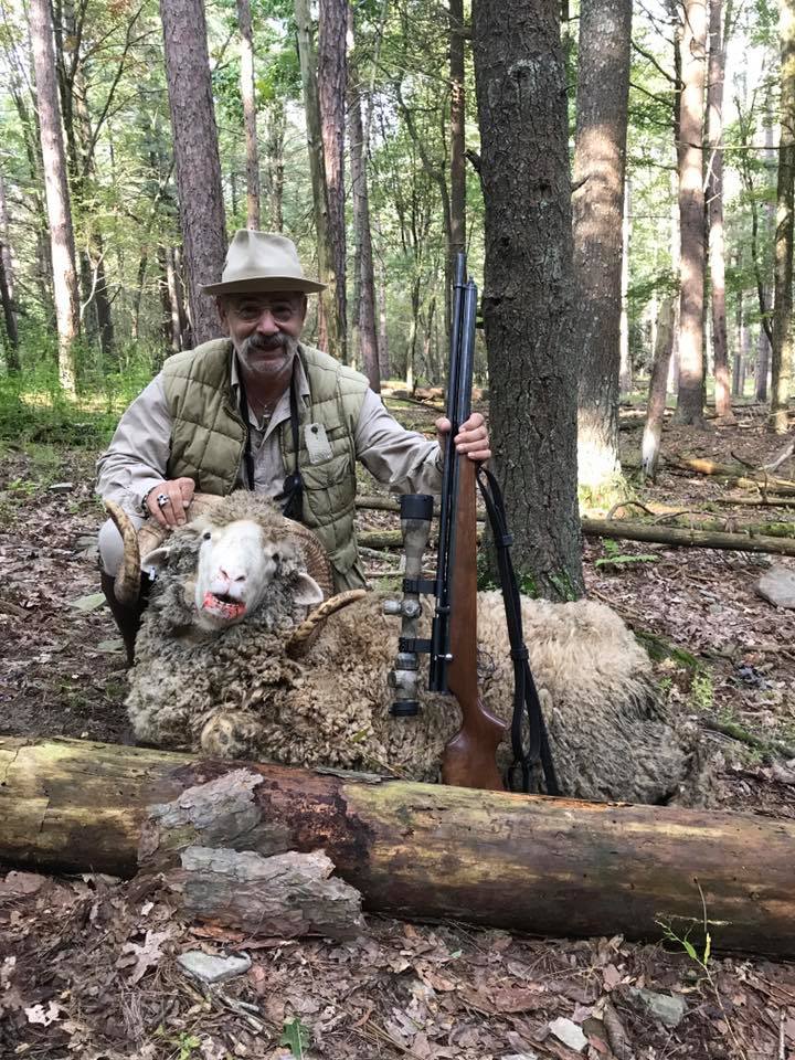 Bighorn Sheep Hunting in Pennsylvania