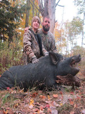 New York Ban on Wild Boar Hunting - Tioga Ranch