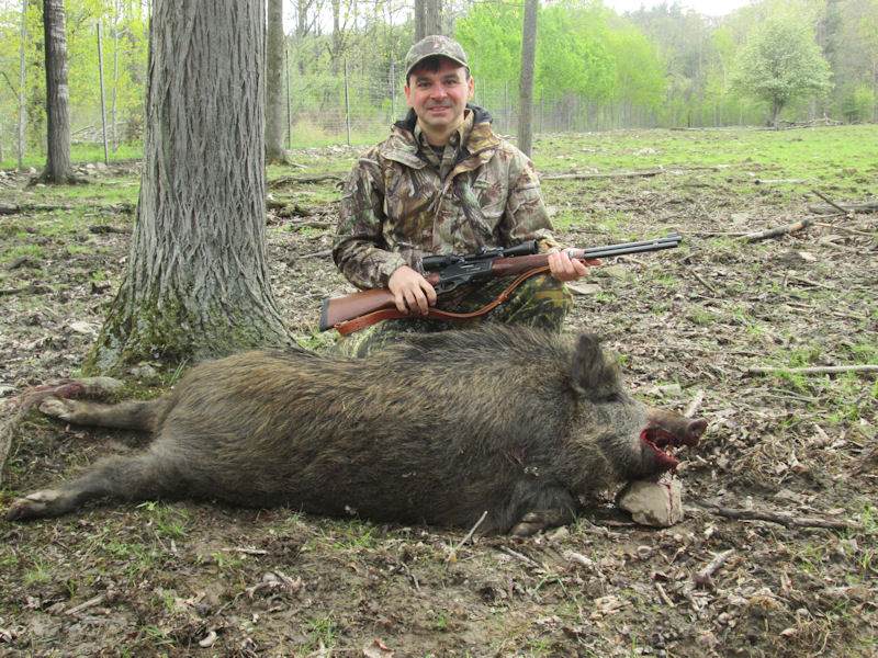 Boar Hunter posing with dead boar