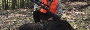 Guided Boar Hunting